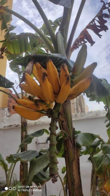 Precioso Apartamento Con A/A En Ruzafa Con Terracita Privada Y Acceso A Un Jardin, Para 2-3 Personas Valencia Bagian luar foto